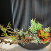 42DD5CA3-33F1-4F0C-8078-1D74BC324813